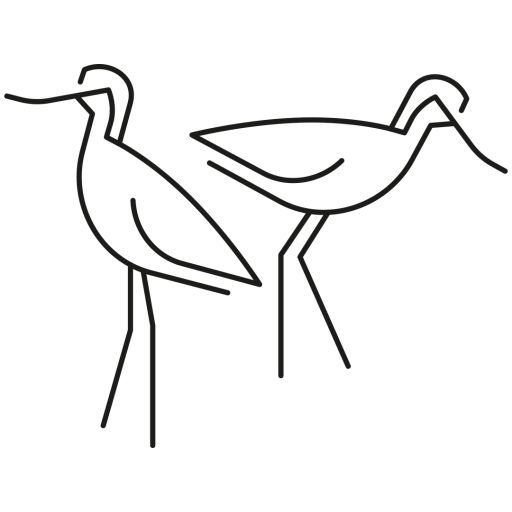 cropped-salinas.jpg Sal marina húmeda