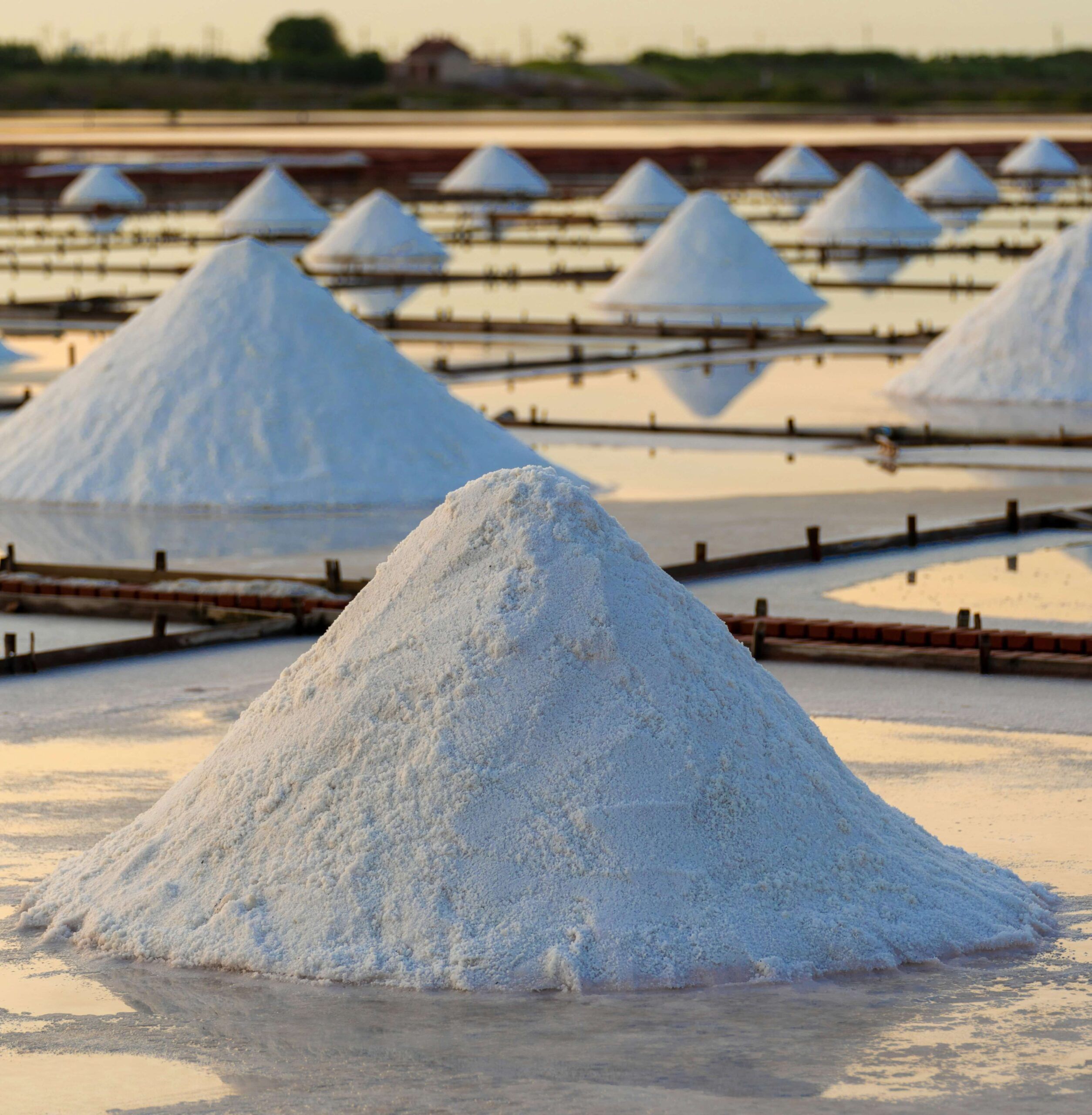 Sal yodada con carne